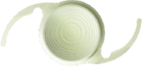 시너지