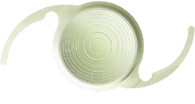 시너지